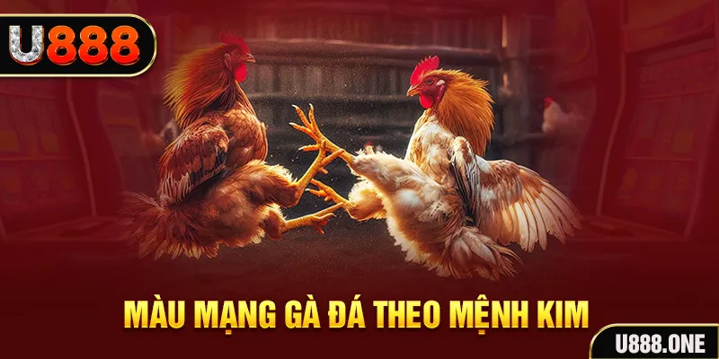 b52 play gà chọi tiêu phong