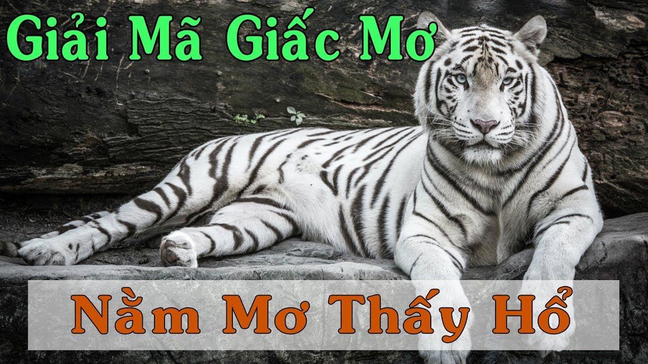 b52 play xổ số miền trung