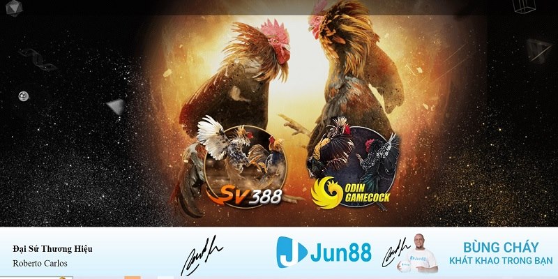 b52 play xổ số miền nam hàng tuần