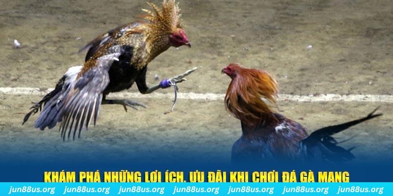 b52 play Tài Xỉu 2