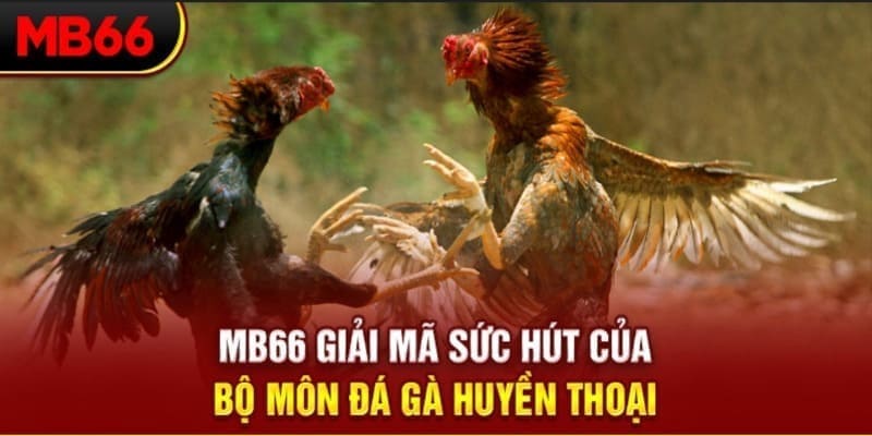b52 play long bảo trong baccarat là gì