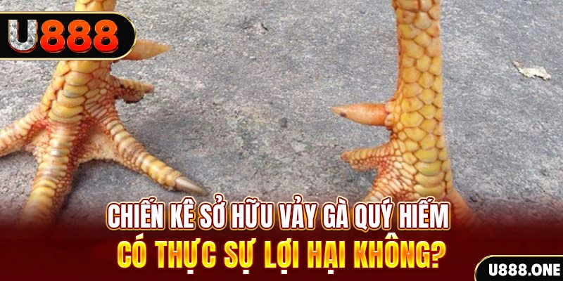 b52 play game cá cược máy bay