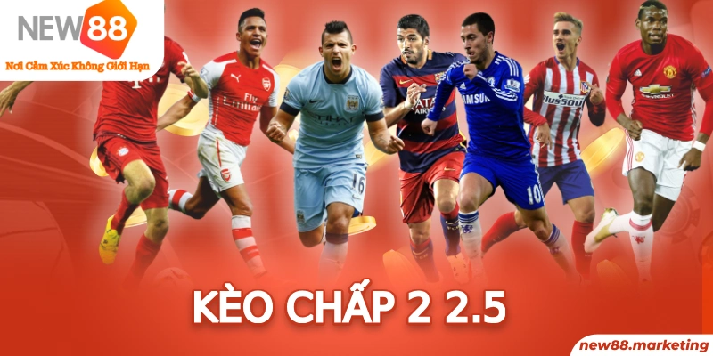 b52 play trực tiếp đá gà thomo