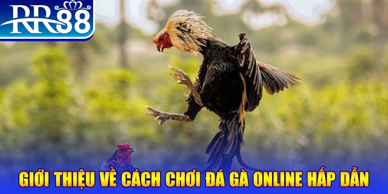 b52 play nổ hũ 2 mặt là gì