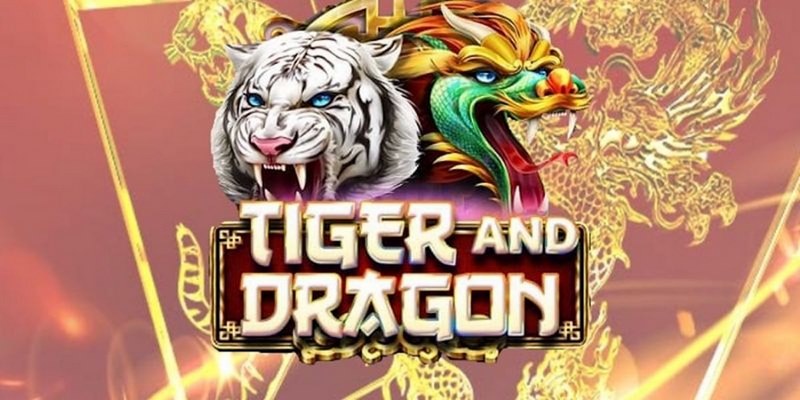 b52 play cá cược tiếng anh là gì