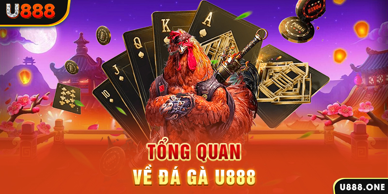 b52 play what is casino bonus wagering